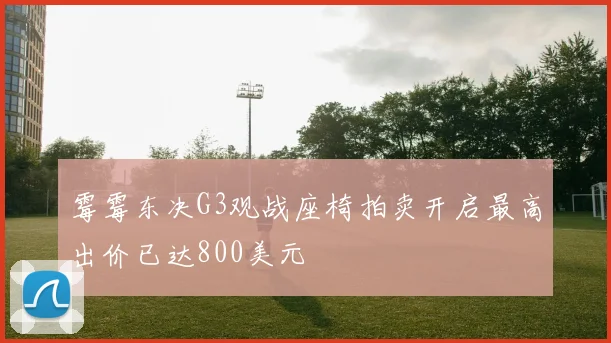 霉霉东决G3观战座椅拍卖开启最高出价已达800美元
